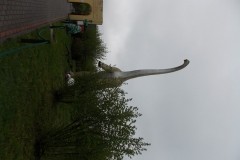 DSCN6063