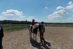DSCN6519