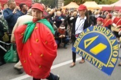 święto kwiatów