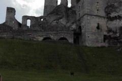 IMG_20170606_160609