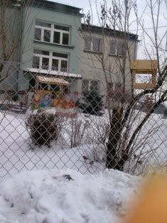 ptaki