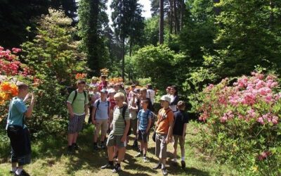 Wycieczka do arboretum