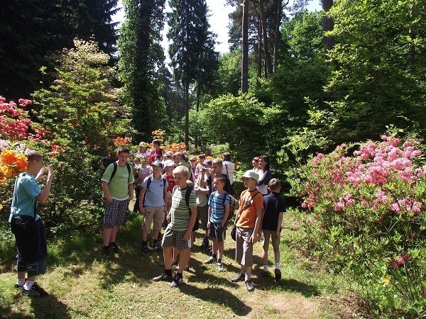 Wycieczka do arboretum
