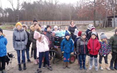 Pamiętamy o zwierzakach